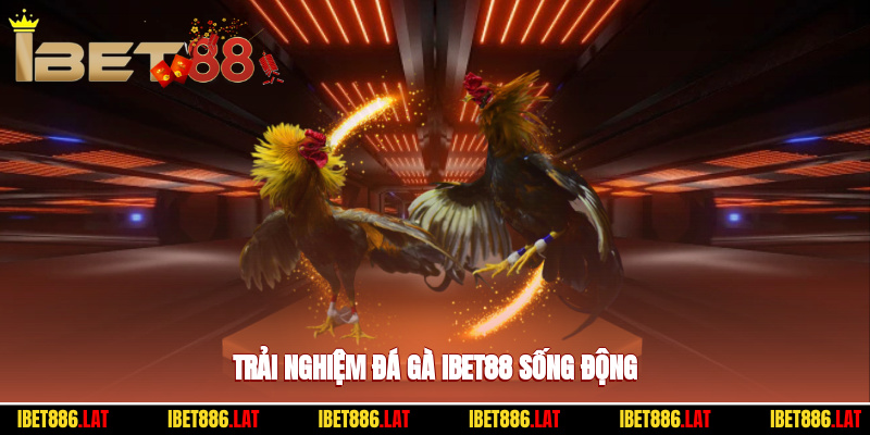 Trải nghiệm đá gà ibet88 sống động